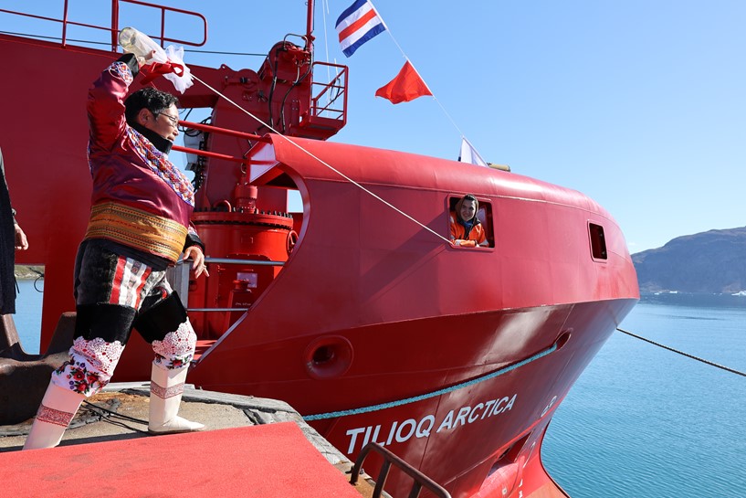 Tilioq arctica navngivning